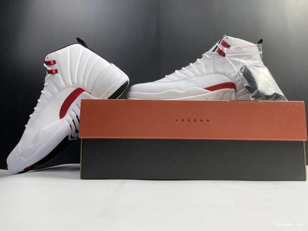 Twist Air Jordan 12 CT8013-106 0522